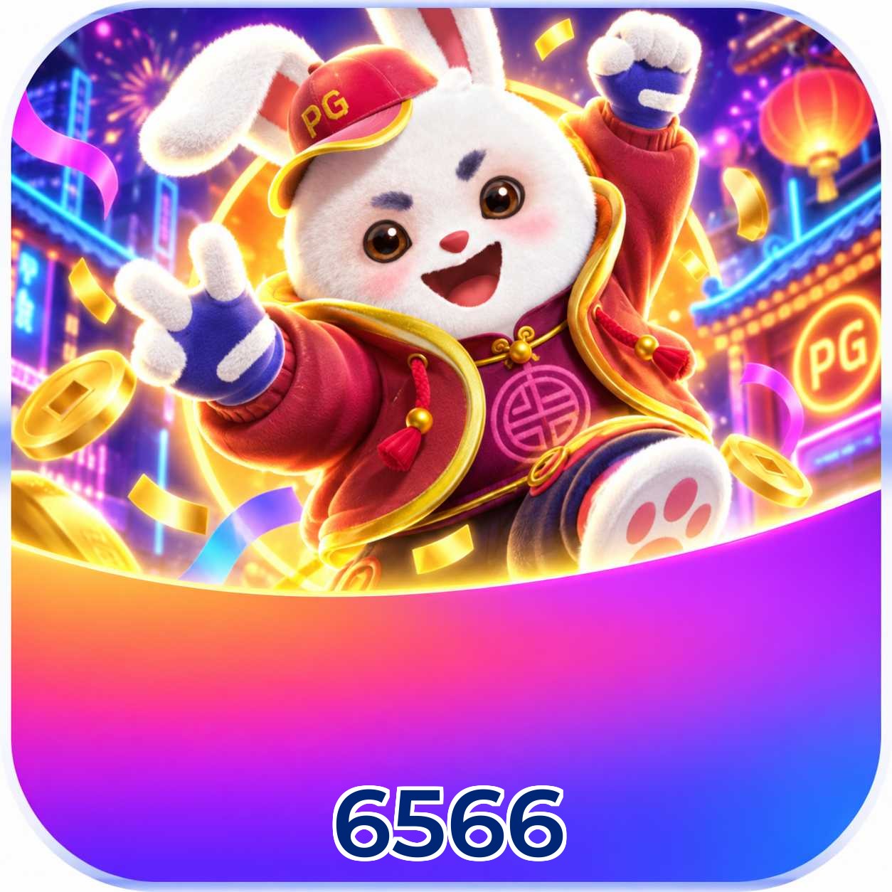 6566 Installation Guide