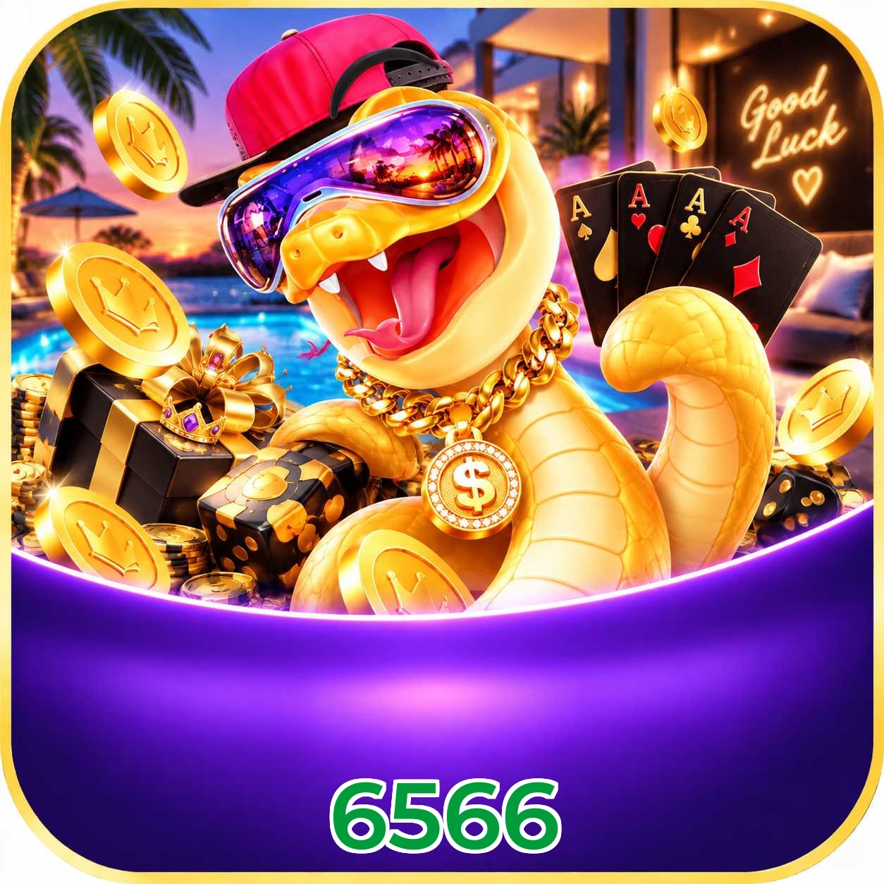 6566 Logo
