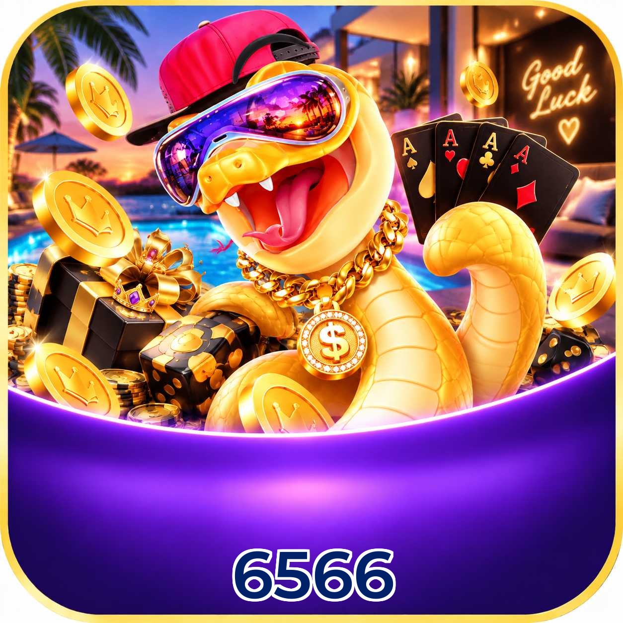 6566 App FAQ