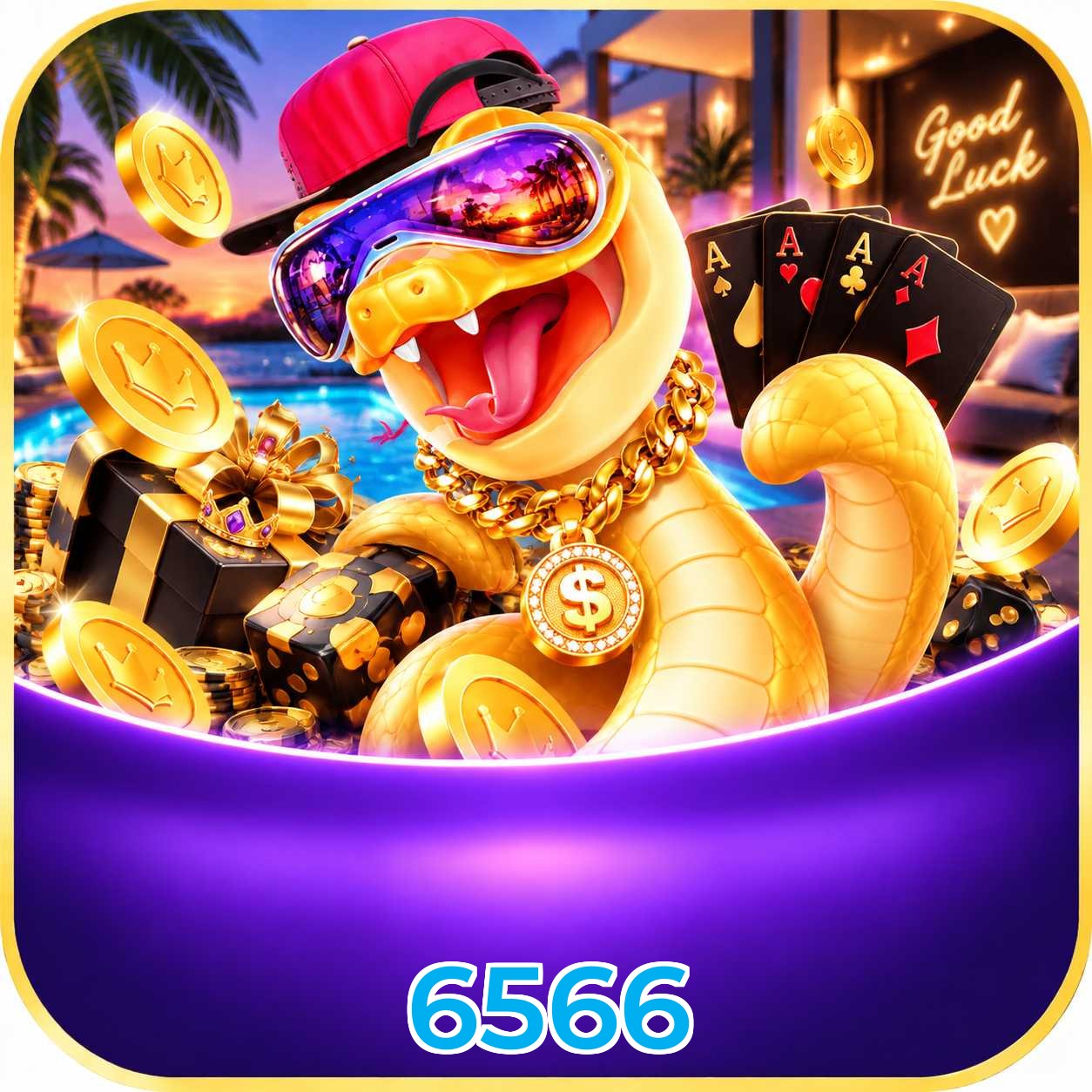 6566 Compatibilidade