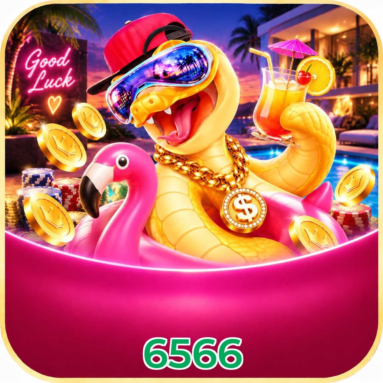 6566 Logo